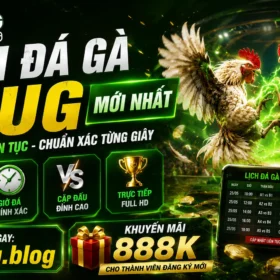 88UG - 88UG.BLOG - Trang giải trí uy tín hàng đầu. Trải nghiệm đá gà trực tiếp Thomo đỉnh cao, sảnh casino live đẳng cấp và thể thao mượt mà. Đăng ký ngay để nhận ưu đãi 888k