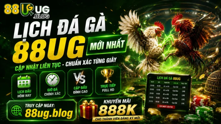 88UG - 88UG.BLOG - Trang giải trí uy tín hàng đầu. Trải nghiệm đá gà trực tiếp Thomo đỉnh cao, sảnh casino live đẳng cấp và thể thao mượt mà. Đăng ký ngay để nhận ưu đãi 888k